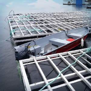 40&#39; x 10&#39; - 12,000LB Image